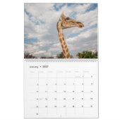 Wildkalender 2021 kalender (Jan 2027)
