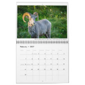 Wildkalender met onderschriften kalender (Feb 2027)