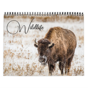 Wildkalender met onderschriften kalender