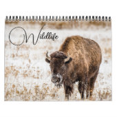 Wildkalender met onderschriften kalender (Hoes)