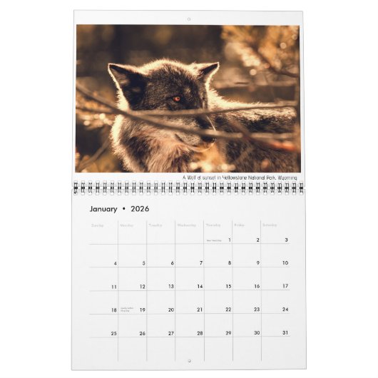 Wildkalender met onderschriften kalender (Jan 2026)