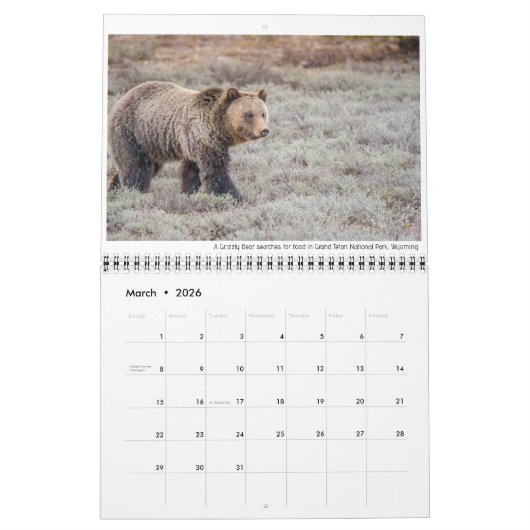 Wildkalender met onderschriften kalender (Mar 2026)