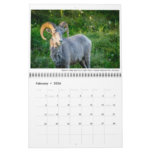 Wildkalender met onderschriften kalender (Feb 2026)