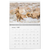 Wildkalender met onderschriften kalender (Jan 2027)