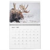 Wildkalender met onderschriften kalender (Mar 2027)