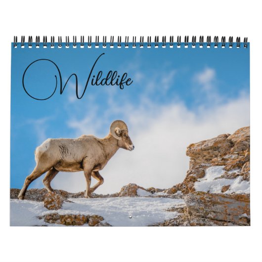 Wildkalender met onderschriften kalender (Hoes)
