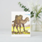 Wildkamel, Wild Camel * Tierkunst * Animal-ARTcard Briefkaart (Staand voorkant)