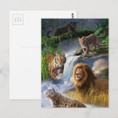 Wildkatten Briefkaart (Voorkant / Achterkant)