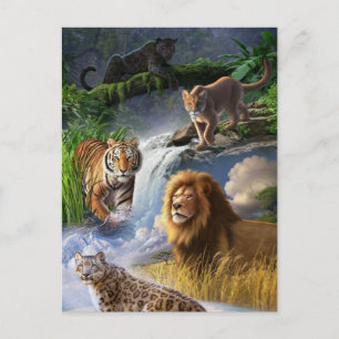 Wildkatten Briefkaart