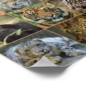 Wildkatten Poster (Hoek)