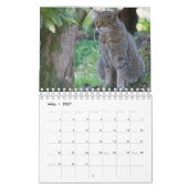 Wildkatzen. Kalender (Mar 2027)