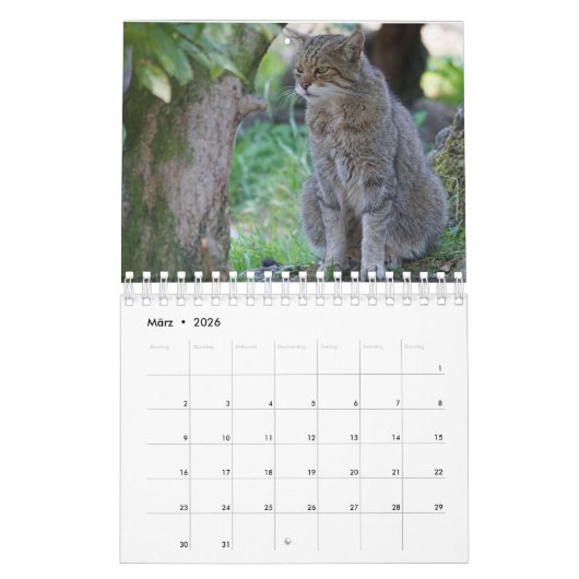 Wildkatzen. Kalender (Mar 2026)