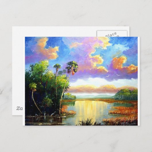 Wildl Florida Land Briefkaart (Voorkant / Achterkant)