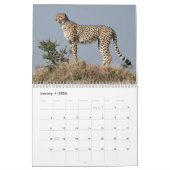 Wildleven van de Masai Mara Calender van Kenia Kalender (Jan 2026)