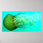 Wildlife 114 Zee Nettle poster (Voorkant)