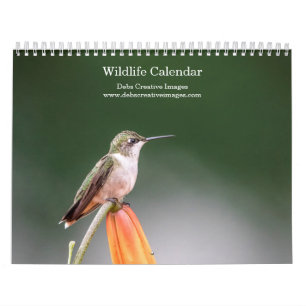 Wildlife 2025 kalender