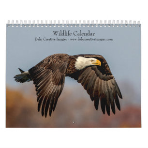 Wildlife 2025 kalender