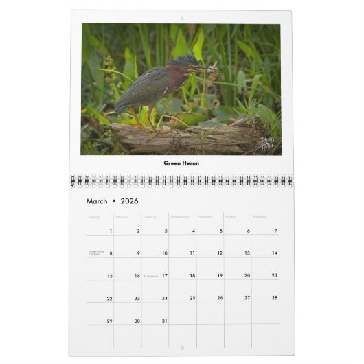 Wildlife 2025 Kalender van Kevin Harris (Mar 2026)