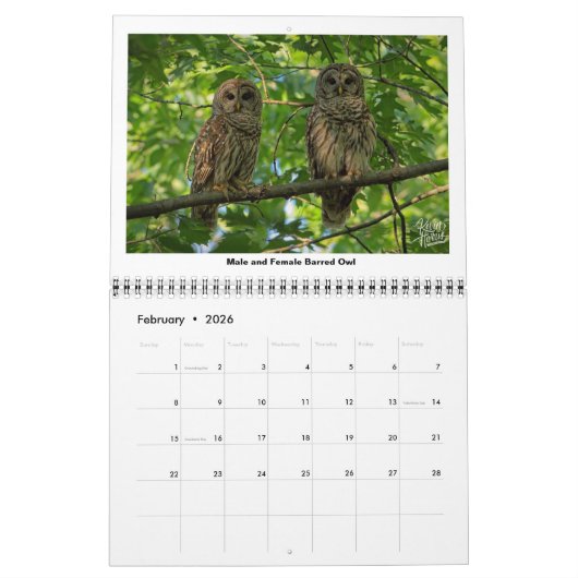 Wildlife 2025 Kalender van Kevin Harris (Feb 2026)