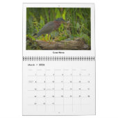 Wildlife 2025 Kalender van Kevin Harris (Mar 2026)