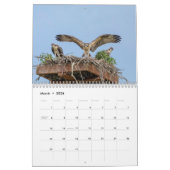Wildlife 2026 kalender (Mar 2026)