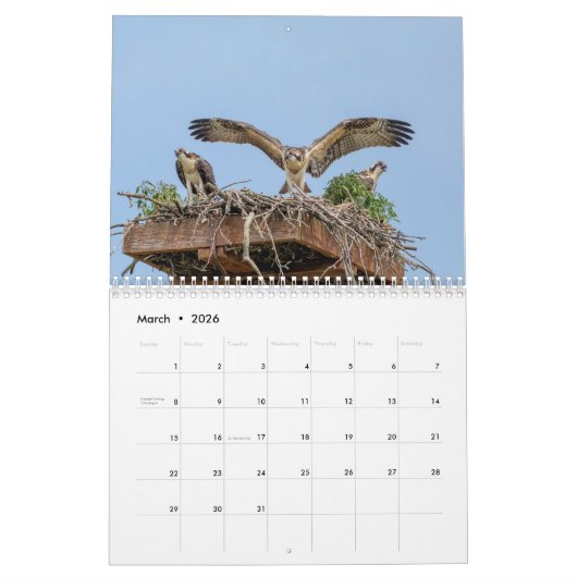 Wildlife 2026 kalender (Mar 2026)