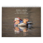 Wildlife 2026 kalender (Hoes)
