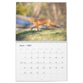 Wildlife 2026 kalender (Mar 2027)