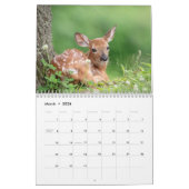 Wildlife 2026 kalender (Mar 2026)