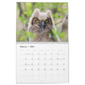 Wildlife 2026 kalender (Feb 2026)