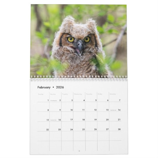 Wildlife 2026 kalender (Feb 2026)