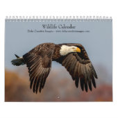 Wildlife 2026 kalender (Hoes)