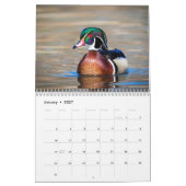 Wildlife 2026 kalender (Jan 2027)