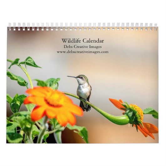 Wildlife 2026 kalender (Hoes)