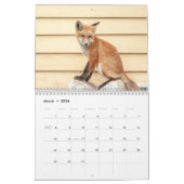 Wildlife 2026 kalender (Mar 2026)