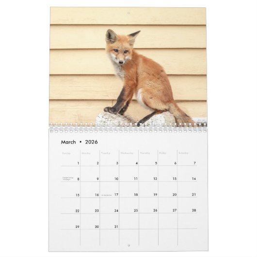 Wildlife 2026 kalender (Mar 2026)