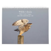 Wildlife 2026 kalender (Hoes)