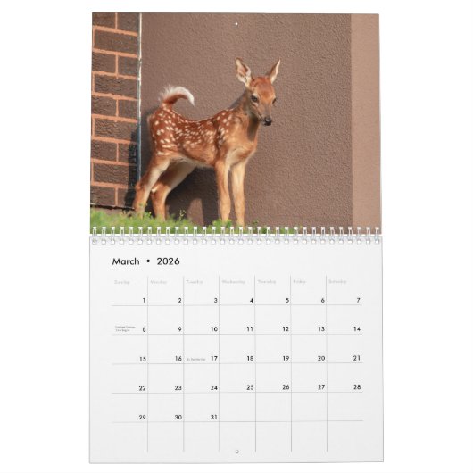 Wildlife 2026 kalender (Mar 2026)