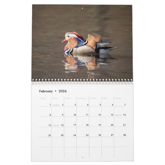 Wildlife 2026 kalender (Feb 2026)