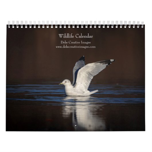 Wildlife 2026 kalender (Hoes)