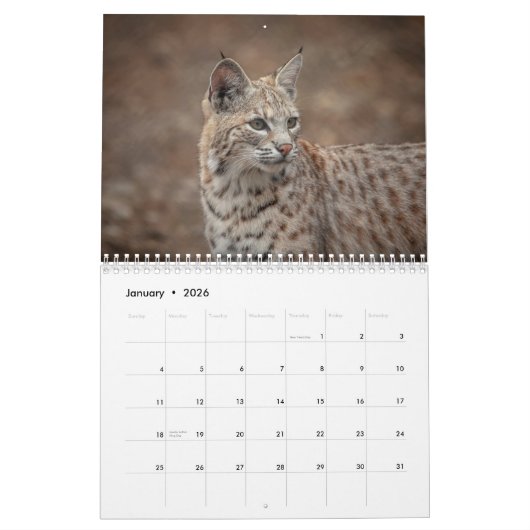 Wildlife 2026 kalender (Jan 2026)