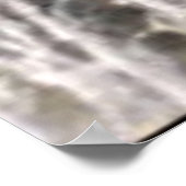 Wildlife 6 walvisstaart poster (Hoek)