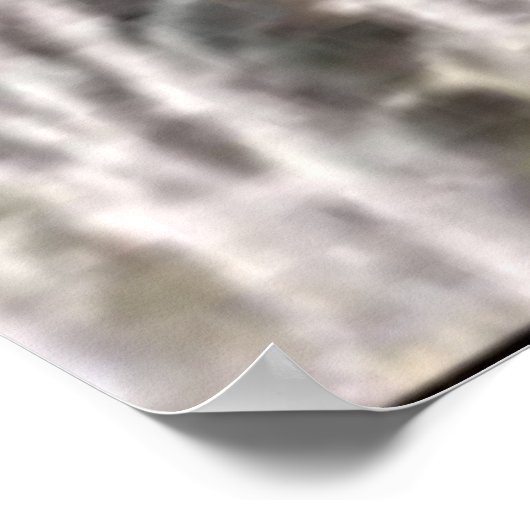 Wildlife 6 walvisstaart poster (Hoek)