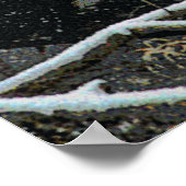 Wildlife 8 cmyk poster (Hoek)