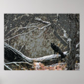 Wildlife 8 cmyk poster (Voorkant)