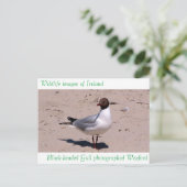 Wildlife afbeeldingen voor briefkaart (Staand voorkant)