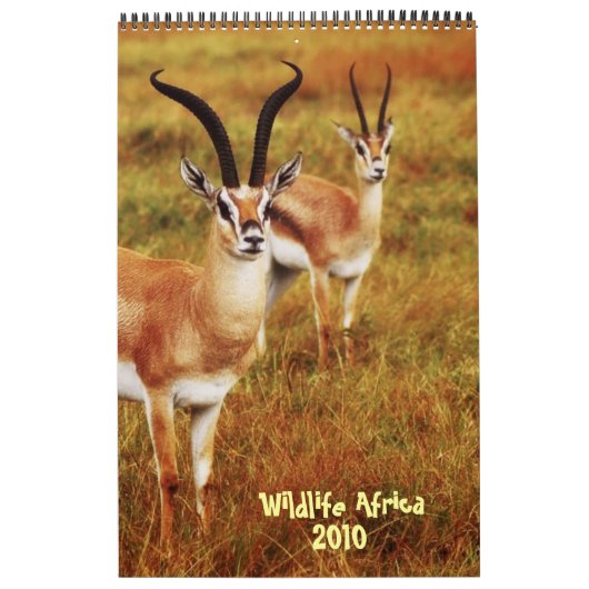 Wildlife Africa kalender 2010 - Afrikaanse safari (Hoes)