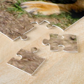 Wildlife African Lion Sitting Foto Legpuzzel (Zijkant)