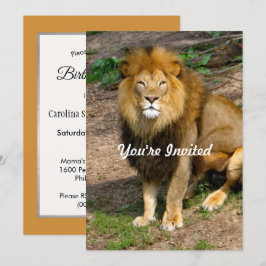 Wildlife Afrikaanse Leeuw Zittende Foto Verjaardag Kaart