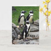 Wildlife Afrikaanse pinguïn Fotosympathie Kaart (Gele Bloem)